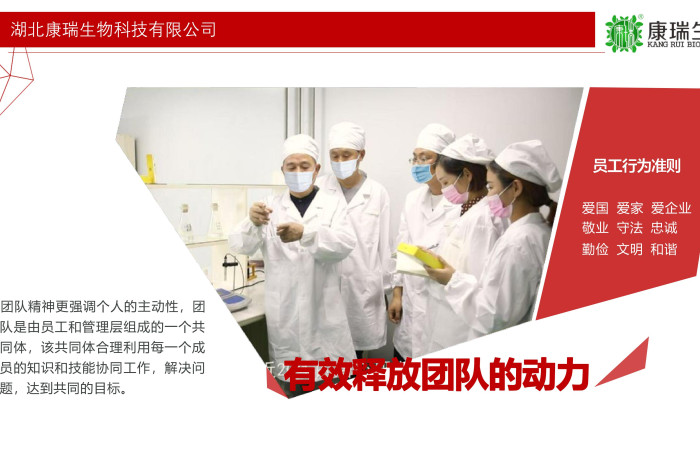 小批量功能食品代工，就選湖北康瑞生物！支持專業打樣與靈活定制